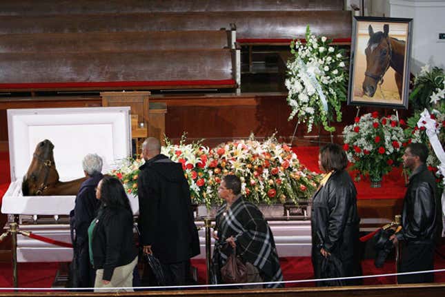 Image for article titled Millions Of Americans Travel To Kentucky To Attend Barbaro's Funeral