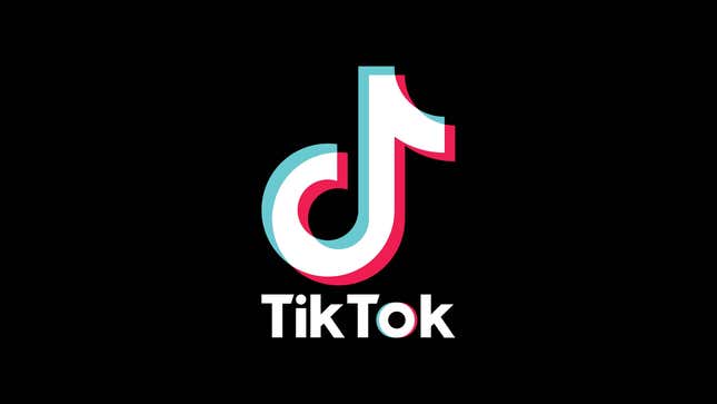 Image for article titled The Onion’s Guide To TikTok