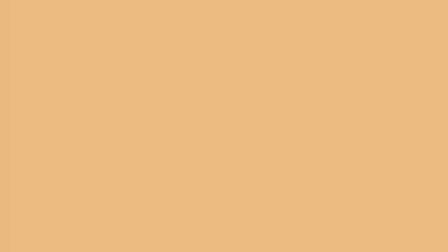 Image for article titled Watch What Happens When You Zoom In On This Bread