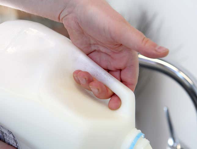 Image for article titled Milk Rushing Through Jug Handle Having The Time Of Its Life