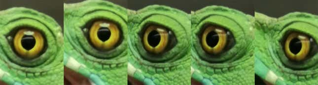 Imagen para el artículo titulado Hemos puesto a un inútil a sacar fotos con el Huawei P30 Pro, el OnePlus 7 Pro y el Pixel 3a. Este es el resultado