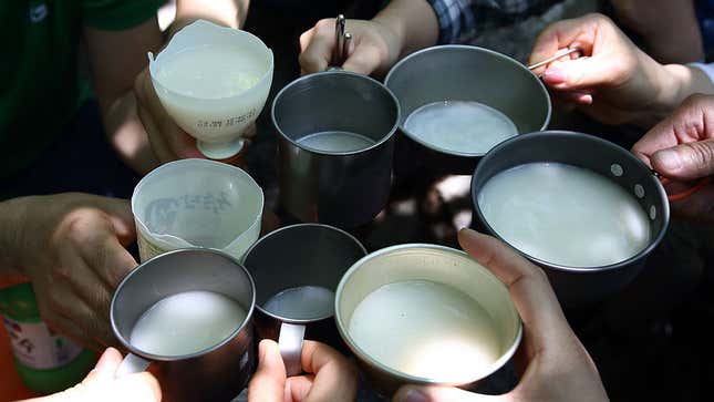 Image for article titled Will makgeolli be the alcohol star of 2021?