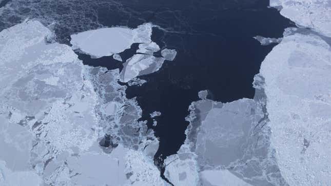 Image for article titled Arctic Sea Ice Hits Second Lowest Extent in Satellite Record