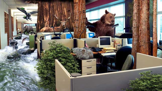 Sources say Yosemite National Park is adjusting well so far to its tighter temporary office space.
