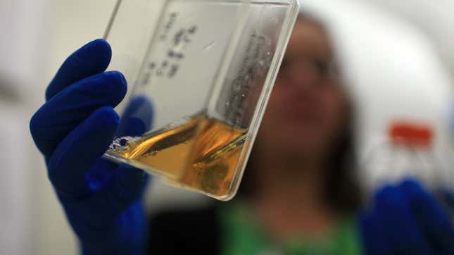 A researcher holding up a container of stem cells.