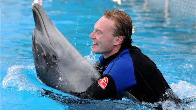 Image for article titled Dolphin Spends Amazing Vacation Swimming With Stockbroker