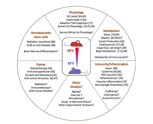 Research areas that have reported discrepancies when mice are housed under standard temperatures (the numbers correspond to citation number in the study). Image: Trends in Cancer.