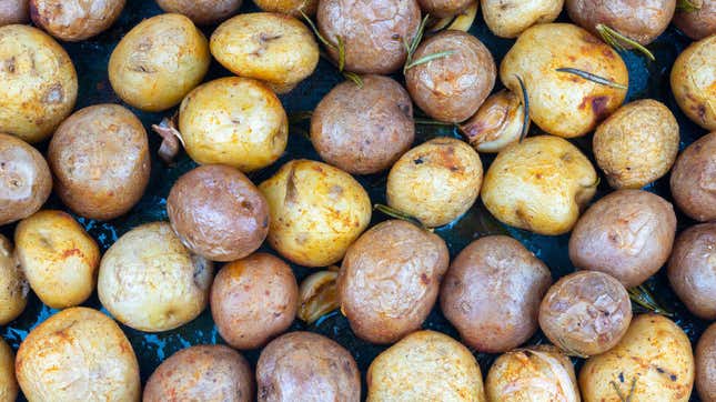 Rows of potatoes