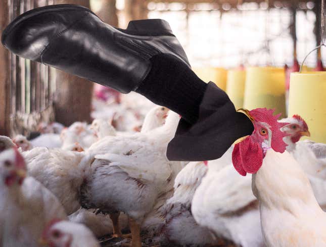 Image for article titled ‘The Food Supply Chain Is Breaking Down,’ Screams Tyson CEO Being Swallowed Whole By Chicken