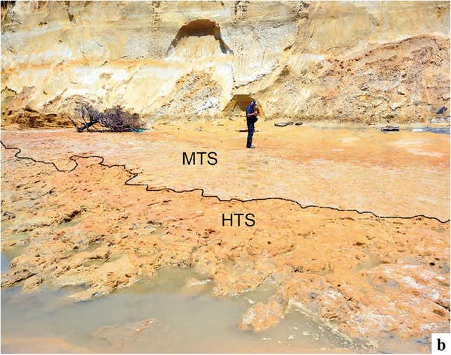 Matalascañas Beach, where the fossils were found (in the section labeled HTS.)