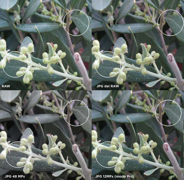Imagen para el artículo titulado Hemos puesto a un inútil a sacar fotos con el Huawei P30 Pro, el OnePlus 7 Pro y el Pixel 3a. Este es el resultado