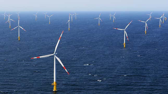Wind turbines stand in the Baltic 1 offshore wind farm near Germany.