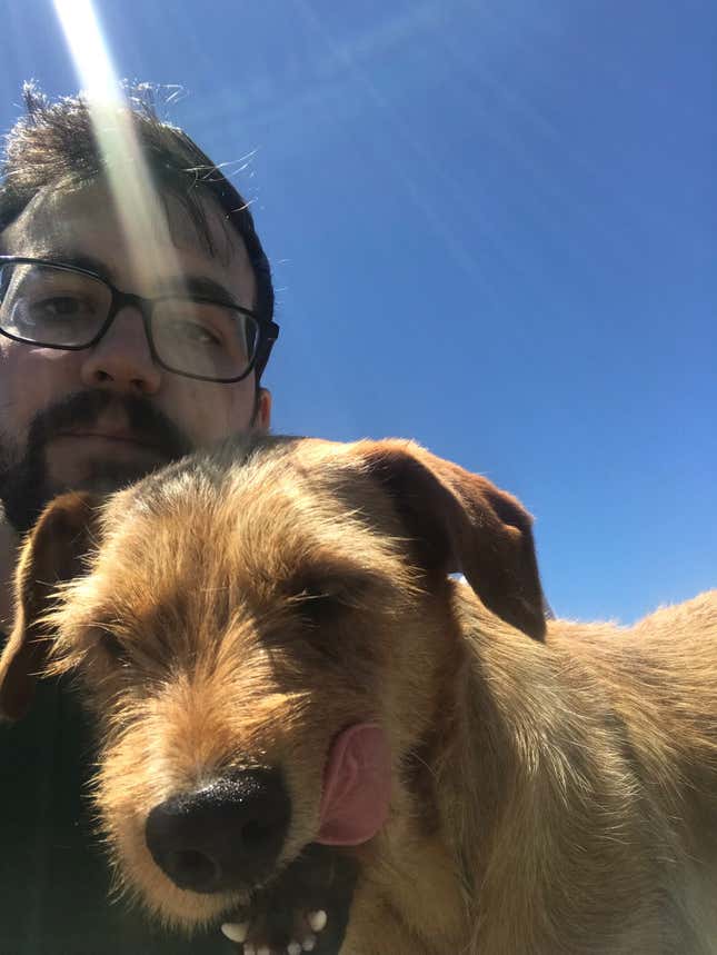 Image for article titled Three Good Dogs I Met