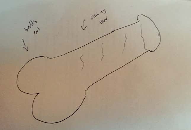 Image for article titled Can You Draw an Anatomically Correct Penis? An Experiment
