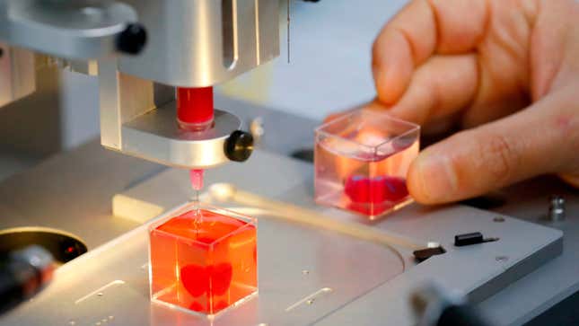 A 3D printed heart made with human tissue at the University of Tel Aviv, April 15, 2019.
