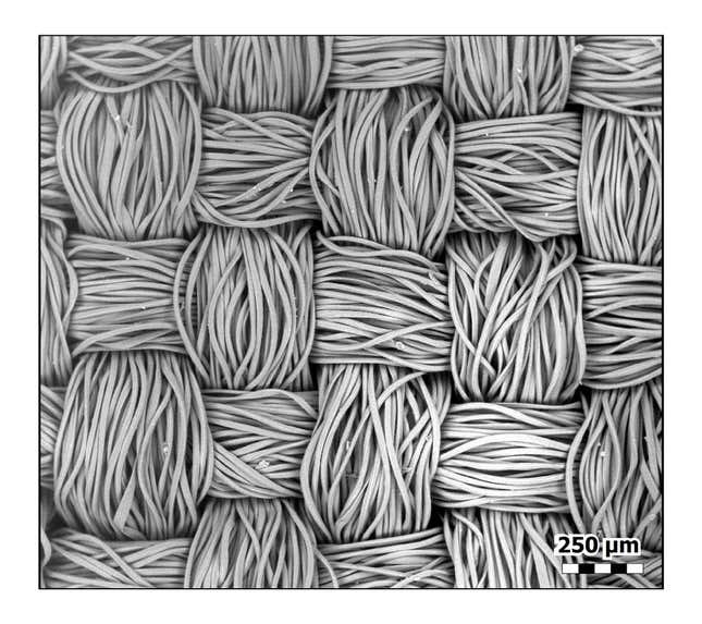 This top-down view of polyester shows how the fibers stay nicely bundled. This image is from the same type of fabric as those quick-drying shirts you might wear to the gym.