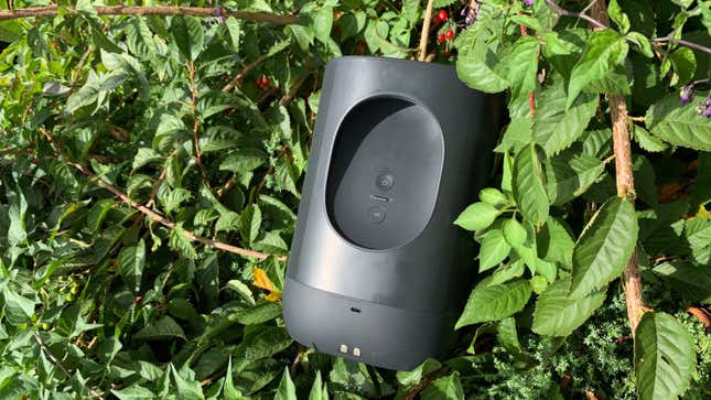 Contemplad, ¡el asa!
Foto: Adam Clark Estes (Gizmodo)