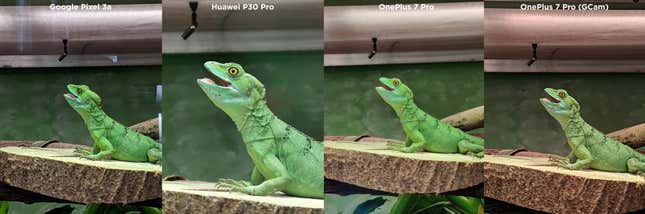 Imagen para el artículo titulado Hemos puesto a un inútil a sacar fotos con el Huawei P30 Pro, el OnePlus 7 Pro y el Pixel 3a. Este es el resultado
