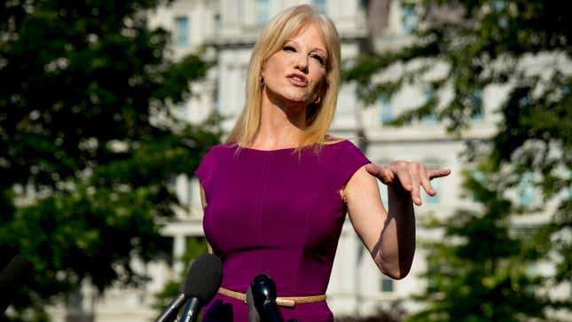 Image for article titled What Ever Happened to Kellyanne?