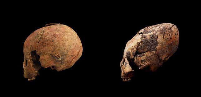 Imagen para el artículo titulado Encuentran 11 nuevos cráneos alargados en una tumba de hace miles de años en China
