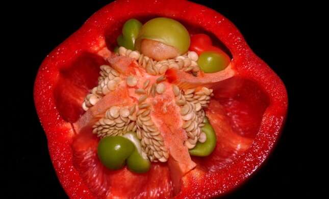 Imagen para el artículo titulado Por qué crecen pimientos dentro de otros pimientos