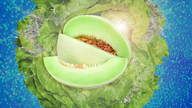 Image for article titled Honeydew Salad redeems nature’s most mediocre melon