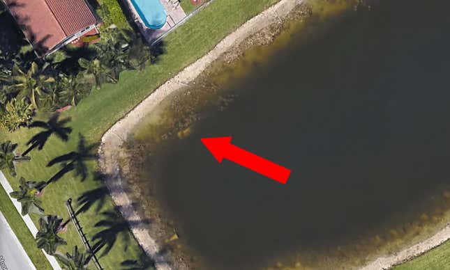 Image for article titled Body of Man Who Went Missing in 1997 Discovered in Pond on Google Maps