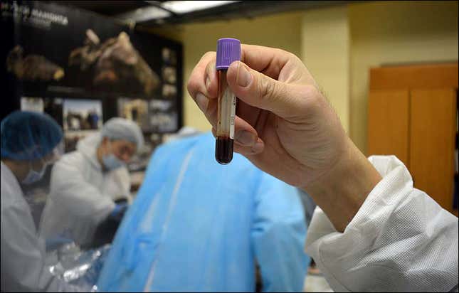 The blood sample extracted from the specimen.