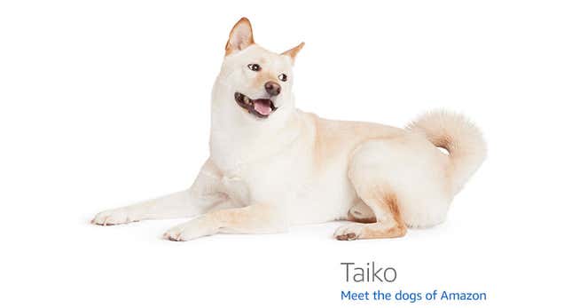 Image for article titled Amazon's Error Dogs, Ranked