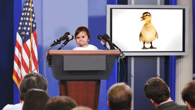 Prominent members of the toddler community demand a marked increase in duck visibility in parks and ponds.