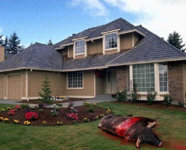 Image for article titled Suburban Parade Of Homes Marred By Rotting Ox On Lawn