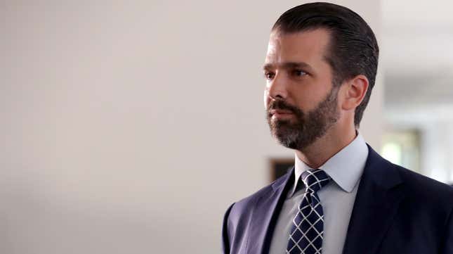 Image for article titled Don Jr. Will Not Launch a Failed Bid for Mayor of New York City, After All
