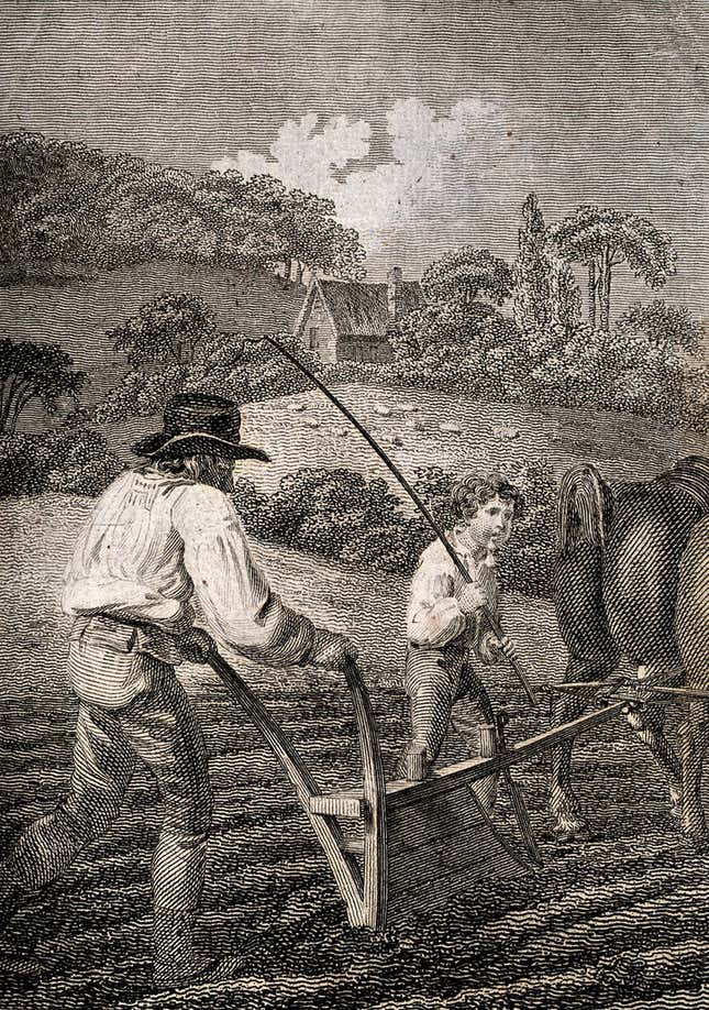 The plowman guides his plough with care and skill. Craig del. Hemsley sculp. (1805)