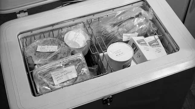 Image for article titled Your freezer isn’t just for frozen food and leftovers—you can keep ingredients in there, too