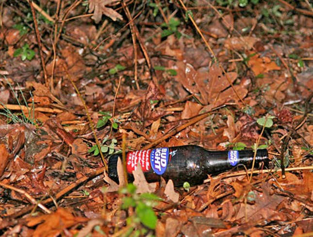 Image for article titled Empty Beer Bottle Released Into Wild