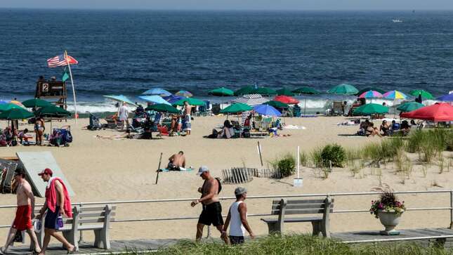 Image for article titled U.S. Beaches Are So Full of Sewage Pollution, They're Often Unsafe for Swimming, New Report Finds