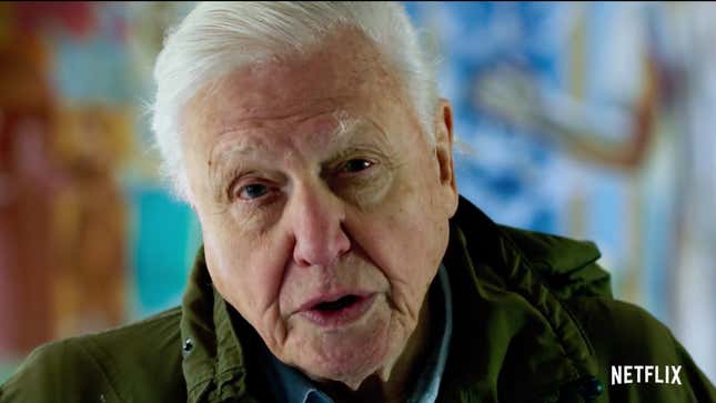 David Attenborough in the new film David Attenborough: A Life on Our Planet.