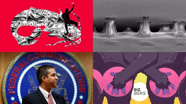 Catfish Fetishists, Secondhand Vape, and the Mystery of Tape: Best Gizmodo Stories of the Week