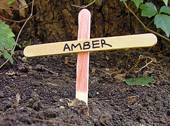 Image for article titled Child Buried In Backyard Under Popsicle-Stick Cross