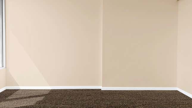 Image for article titled Interior Decorating Tricks To Make Your Tiny Apartment Look Brown