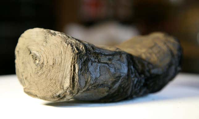 Imagen para el artículo titulado Una IA está a punto de desenrollar los antiguos papiros calcinados tras la erupción del Vesubio
