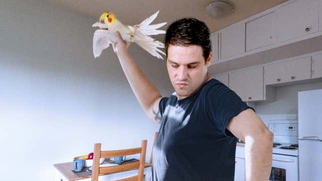 Image for article titled ‘Banjo-Kazooie’ Fans Will Love This: This Man Threw His Bird On The Ground