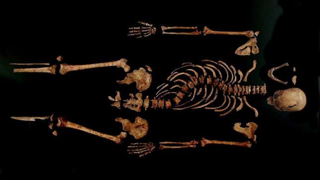 Image for article titled &#39;Well, That Was Cool,&#39; Say Archaeologists Before Dumping Bones Of King Richard III Back Into Hole