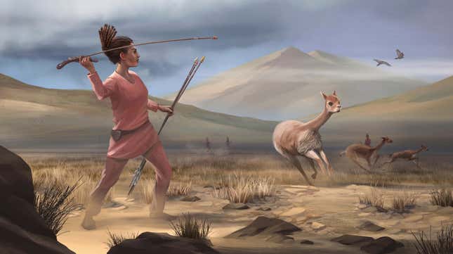 Artist reconstruction of Wilamaya Patjxa vicuña hunt.