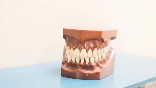 Image for article titled How to Be Less Afraid of the Dentist as an Adult
