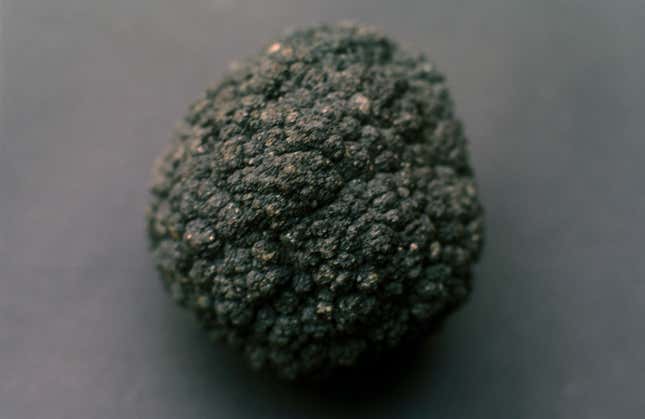 A manganese nodule collected in 1982 from the Pacific. Image: Wikimedia