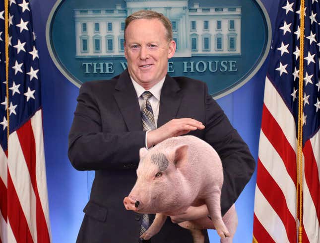 Image for article titled Sean Spicer Cradling Comfort Pig Throughout Briefing