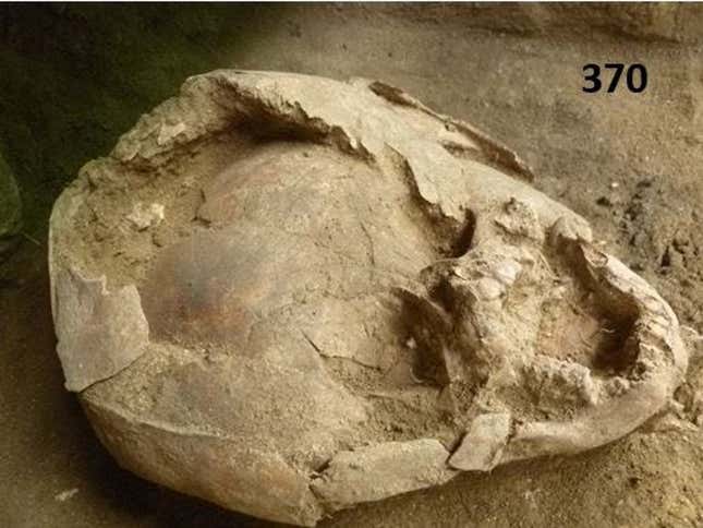 One of the two infants, designated burial 370, was around 18 months old at the time of death.
