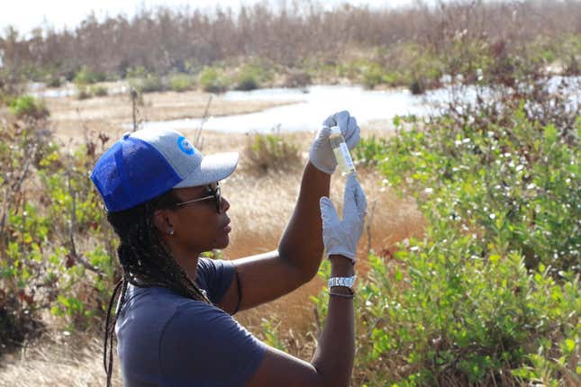 Rashema Ingraham analyzes a water sample.