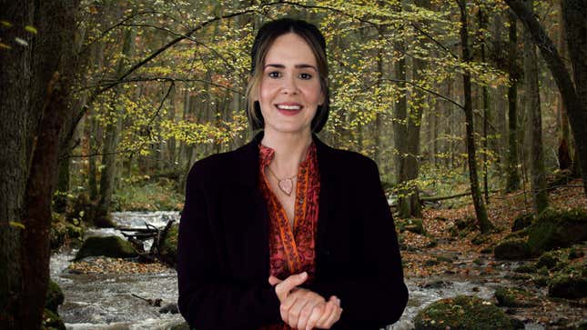 Sarah Paulson in Coastal Elites